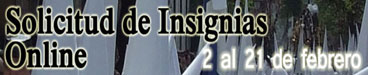 InsigniasOnline2013a