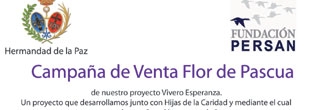 Venta de Flores de Navidad en la Hermandad el 1 de diciembre