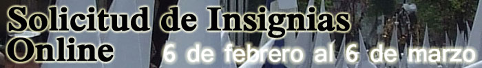 InsigniasOnline2014